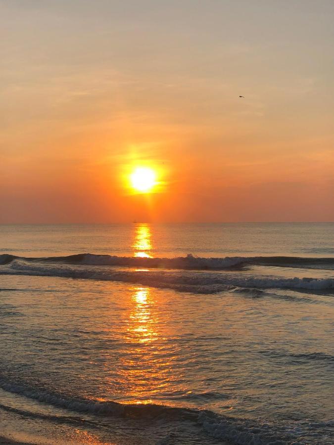 Auberge D'Amelia Fernandina Beach Dış mekan fotoğraf